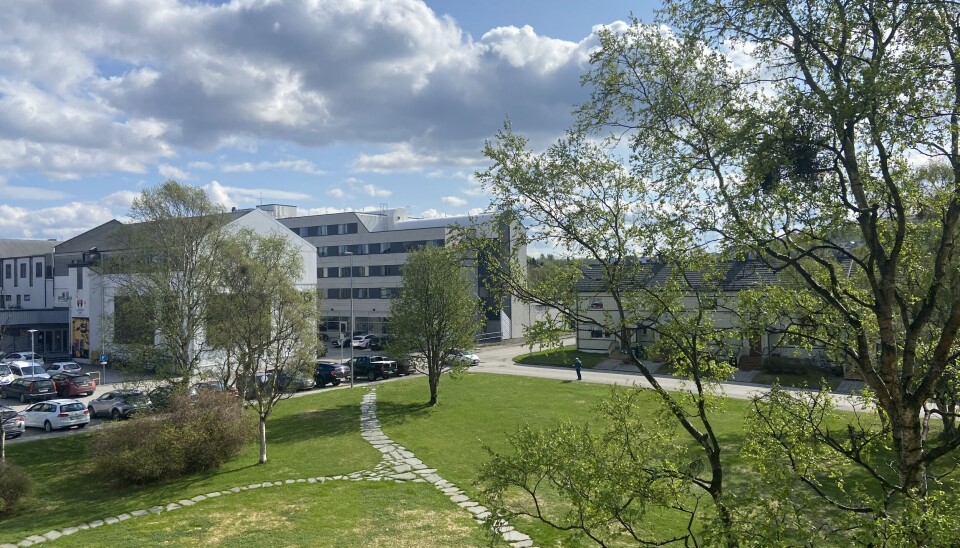 Green and warm Kirkenes Wednesday morning. Photo: Thomas Nilsen