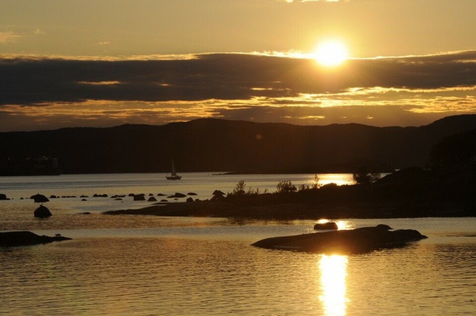 Midnight Sun. Bøkfjorden, Finnmark. Photo: Thomas Nilsen