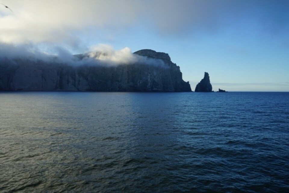 Bjørnøya (Bear Island) is halfway between mainland Norway and Svalbard. Photo: Thomas Nilsen