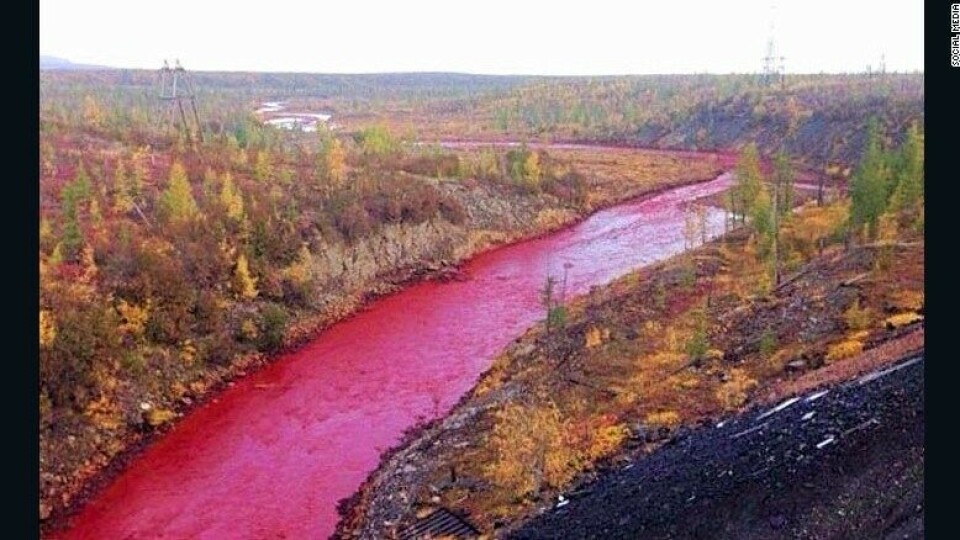 Daldykan river turned red after a pollution leakage from Norilsk-Nickel's Nadezhda plant. Screenshot from Instagram basalyga_katerina_nl
