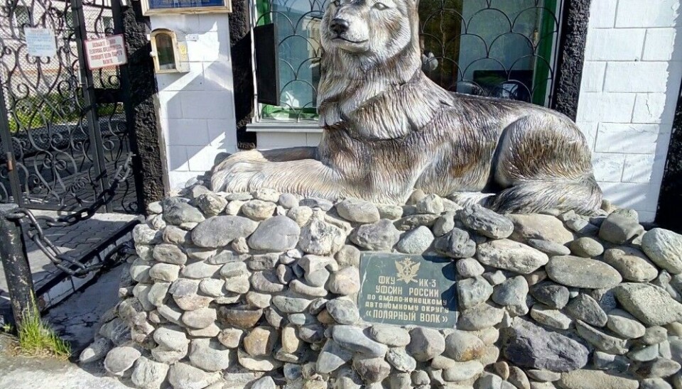 The Polar Wolf in front of the prison entrance. Photo: VK page for Kharp Penal Colono No 3