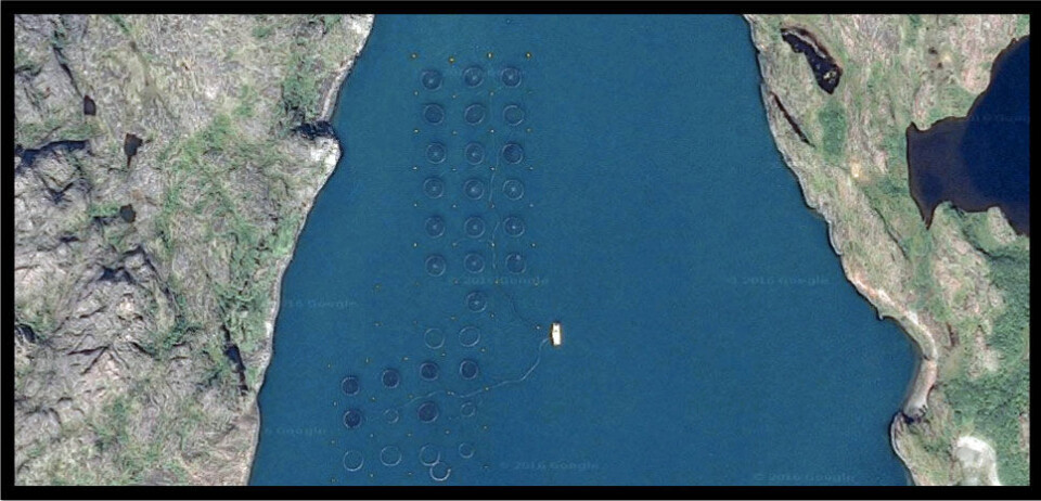 Google satellite image of one of the six locations in the Pechenga fjord with salmon cages. Image from Google-maps