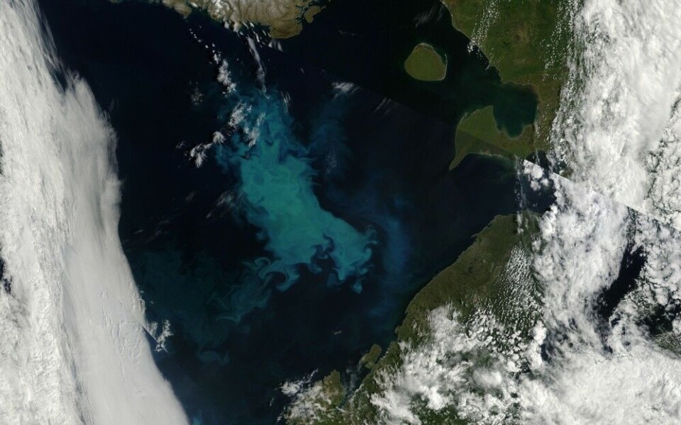 Barents Sea, July 6th - 2016. Photo: NASA EOSDIS Worldservice
