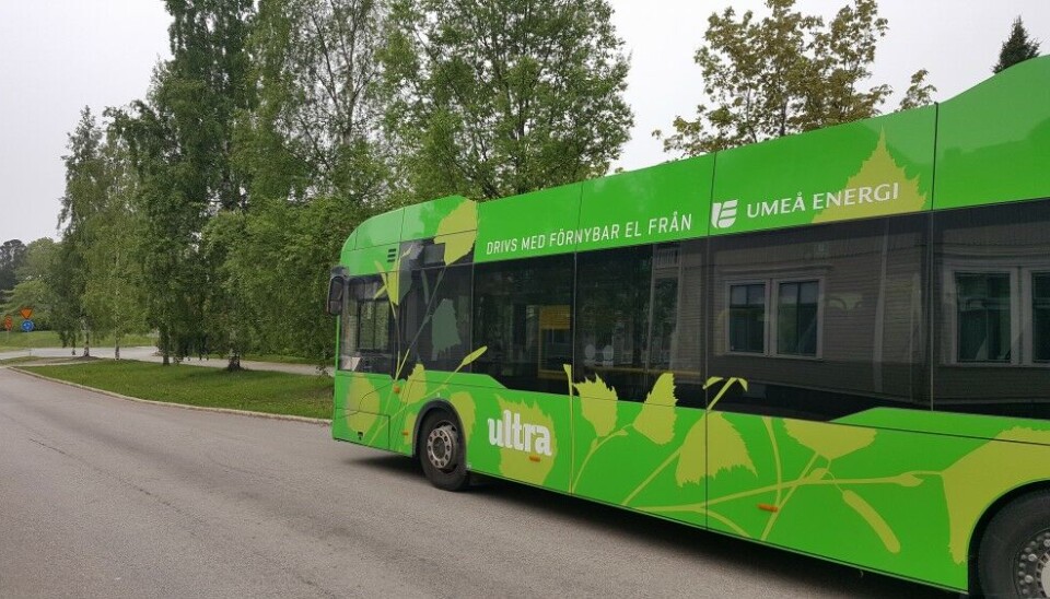 Umeå is by many called the 'city of birches'. Green city - clean buses. The batteries are charged with energy from renewable sources. Photo: Thomas Nilsen