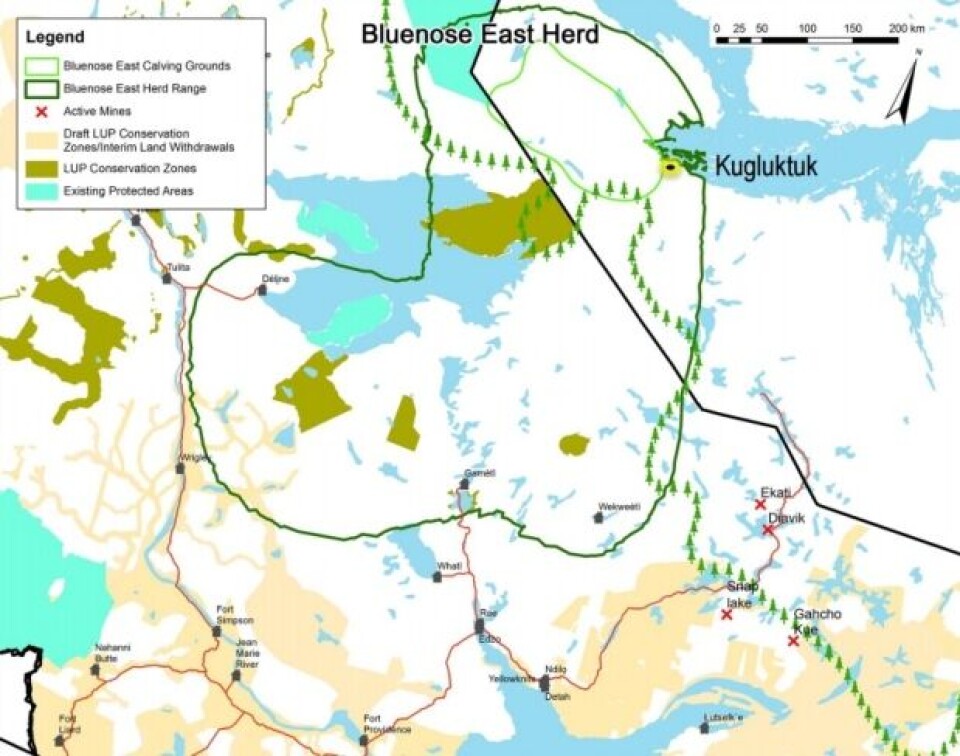 The Bluenose East caribou range (dark green circle) extends to N.W.T.’s Dene communities of Deline, Gameti and Wekweeti, but the calving grounds (light green circle) lie entirely on the Nunavut side of the border. (GNWT-ENR)