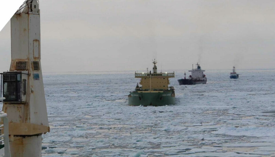 The WWF is working against Russia’s plans to develop the Northern Sea Route, the Prosecutor General argues. Photo: nsra.ru