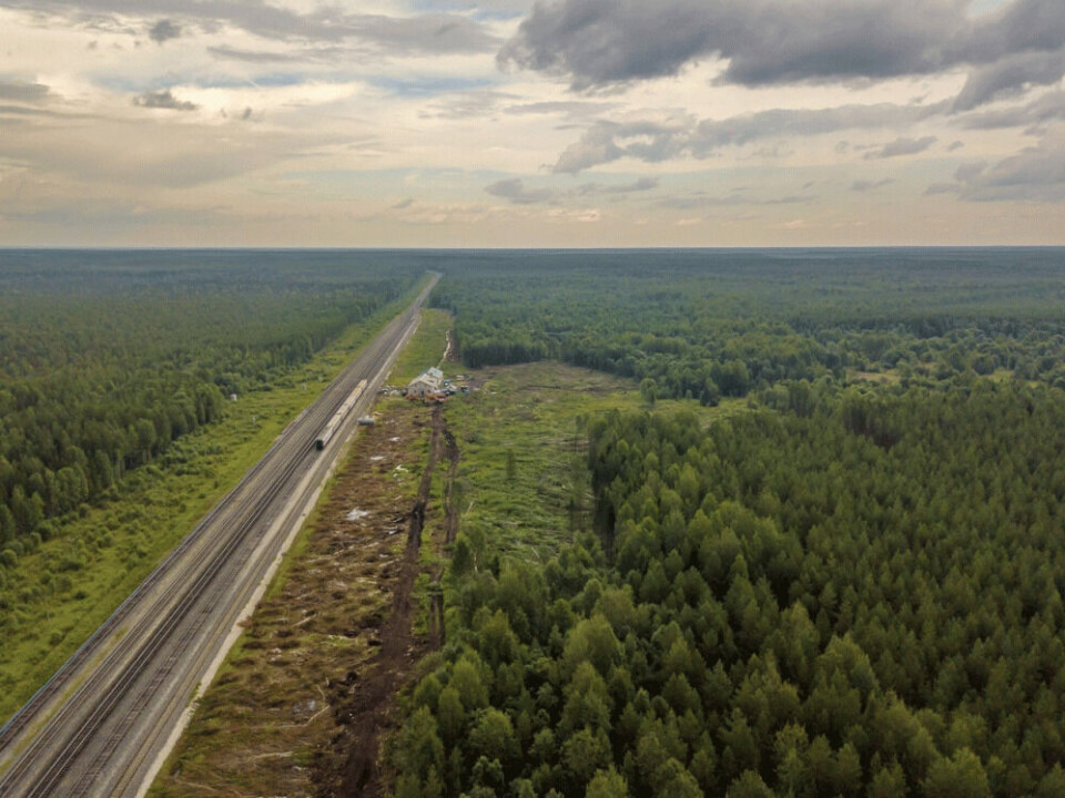 A major garbage waste storage site is being built in the deep forests of Arkhangelsk. Photo: vk.com/svalka29urdoma