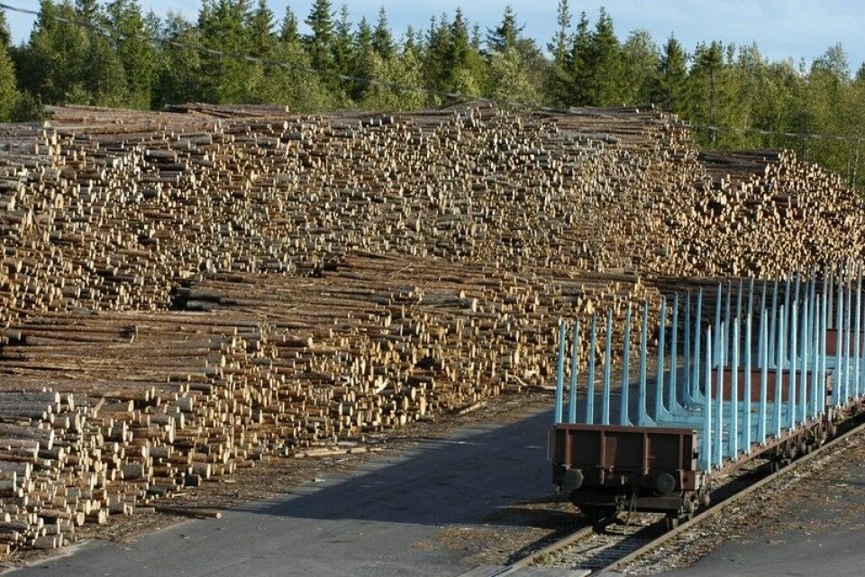Timber, like this in Kolari in Lapland, can be used to produce environmental friendly biodiesel. Photo: Thomas Nilsen