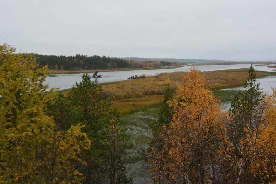 Pasvik River. Photo: Thomas Nilsen