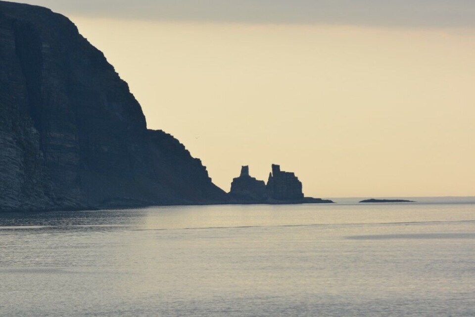 Finnkjerka, the most elegant sea cliff on the Norwegian Barents Sea coast. Photo: Thomas Nilsen