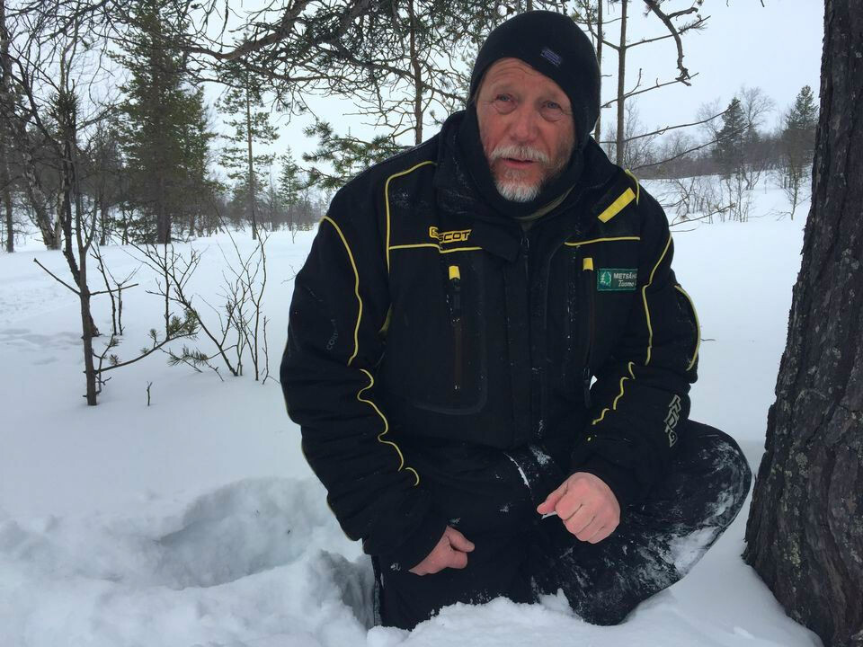 – At the beginning of March, I heard in Eanodat that someone had seen a snowy owl at a short distance, says Senior Officer Tuomo Ollila from Metsähallitus. Photo: Maiju Saijets / Yle