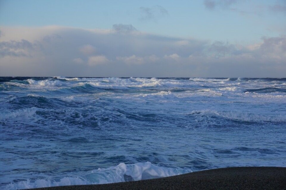 Stormy weather, waves and freezing cold on the coast of the Barents Sea in Grense Jakobselv. Photo: Thomas Nilsen