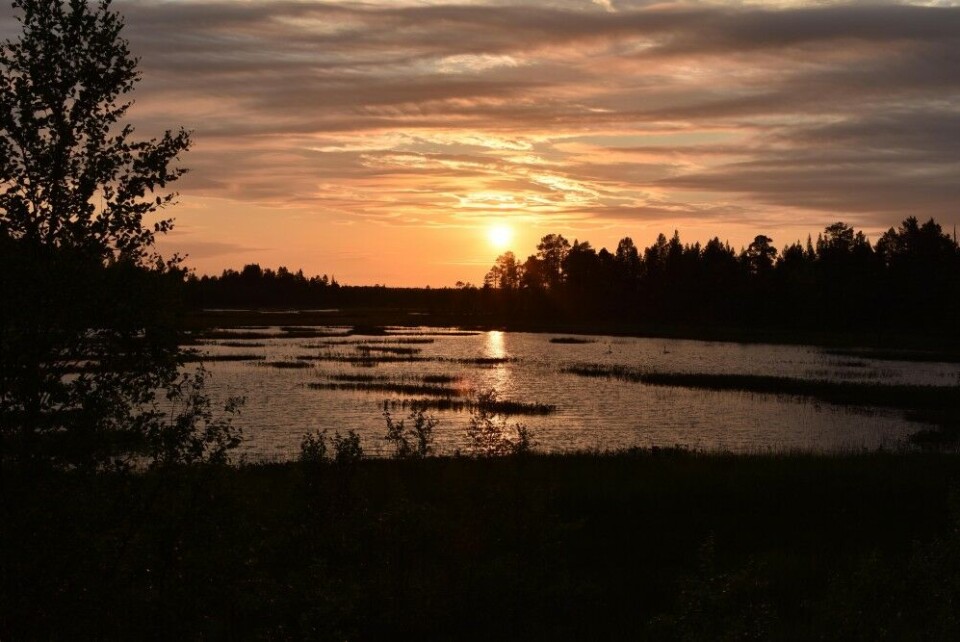 Midnight sun i Lapland. Photo: Thomas Nilsen