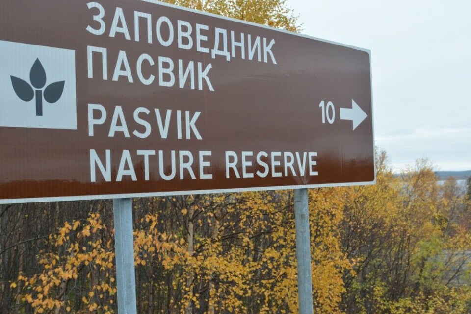 Pasvik Nature Reserve in the Russian-Norwegian borderland. Photo: Thomas Nilsen