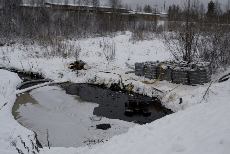 Photo: Ivan Ivanov, Semnasem.ru