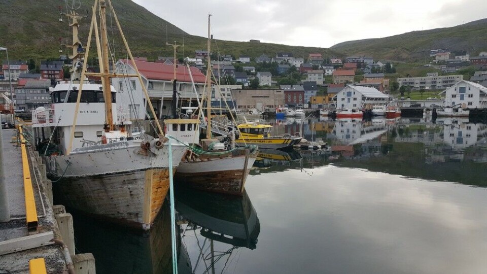Fishing vessels in the port of Honningsvåg on Norway’s Barents Sea coast. Photo: Thomas Nilsen