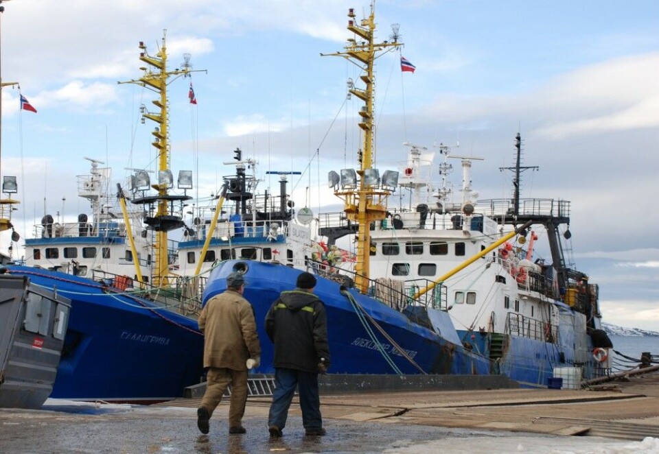 Barents Sea trawlers at port in Kirkenes, Norway. Photo: Atle Staalesen