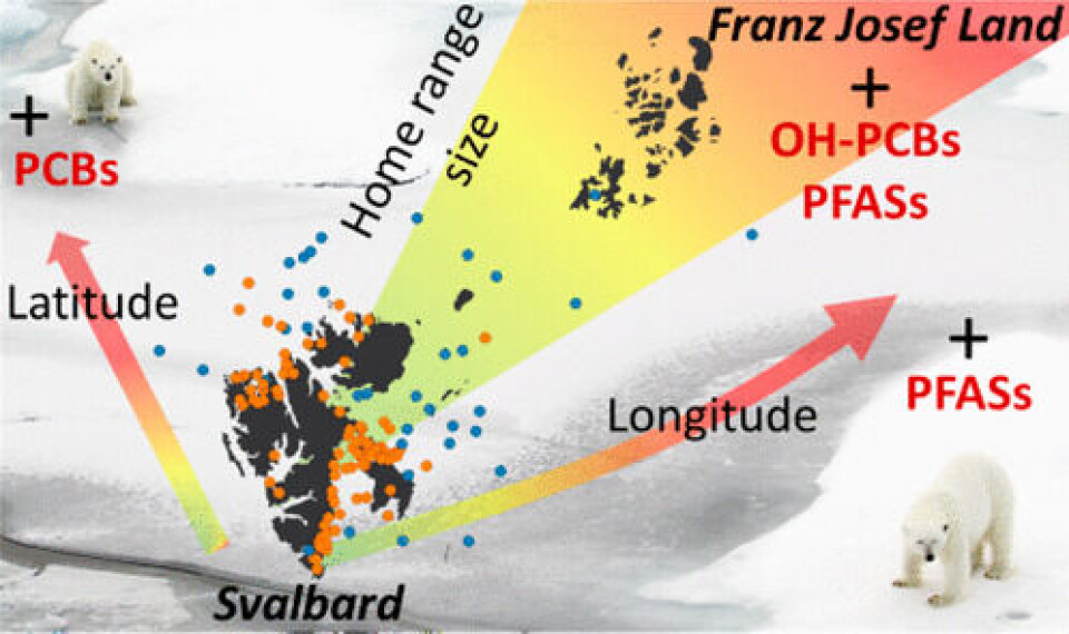 Map from the study shows how levels of certain toxics increase the further northeast polar bears go.