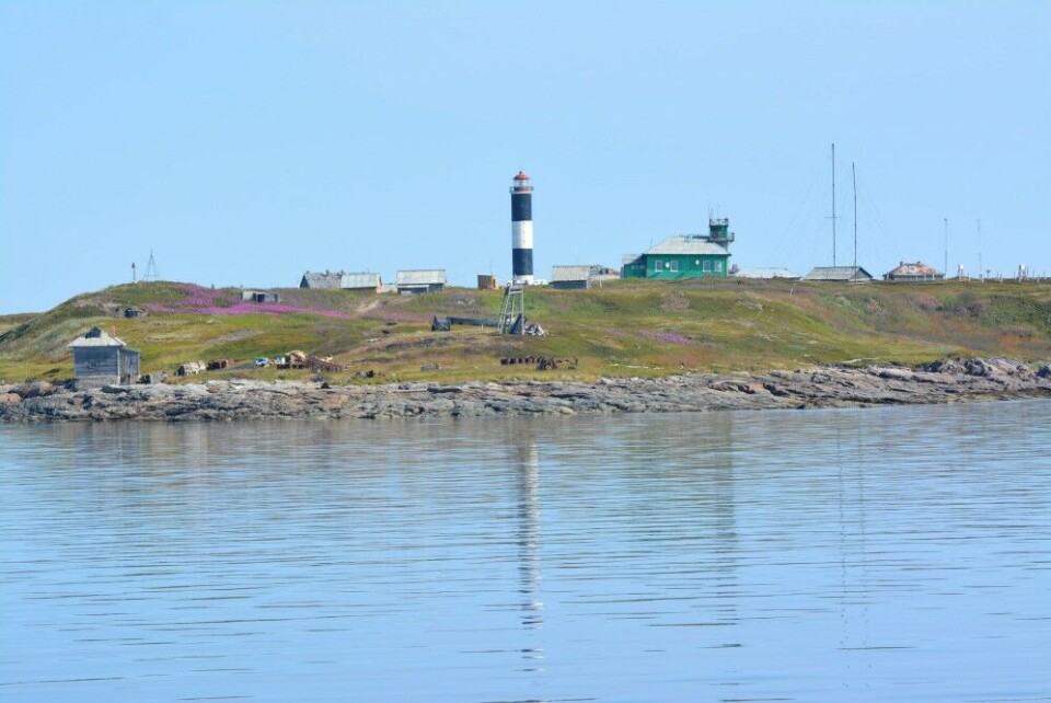 Температура на острове Сосновец в Белом море в среду превысила 20 градусов. Фото: Томас Нильсен