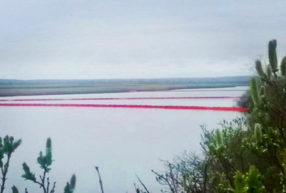 Oil boons on the water in Taymyr. Photo: Rosmorrechflot