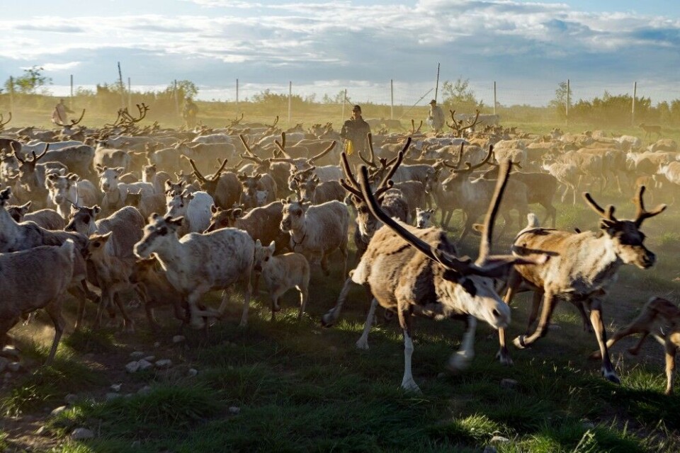 Photo: Thomas Nilsen