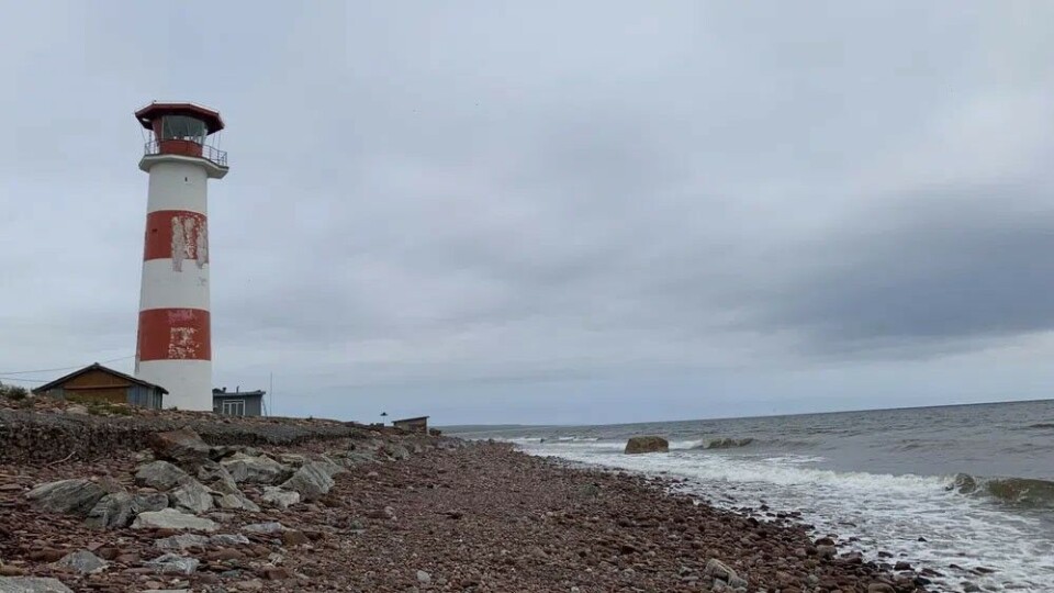 The village of Kashkaran on the White Sea coast. Photo: Tatiana Britskaya