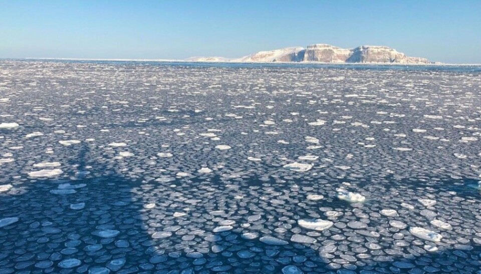 Sea-ice around Bear Island in year 2020. Photo: The Norwegian Coast Guard on X