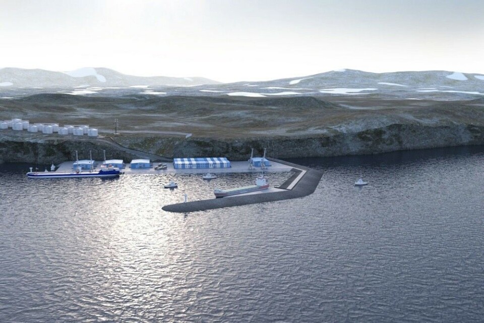 The projected seaport in Bezymyannaya Bay, Novaya Zemlya. Illustration by Eleron/Rosatom
