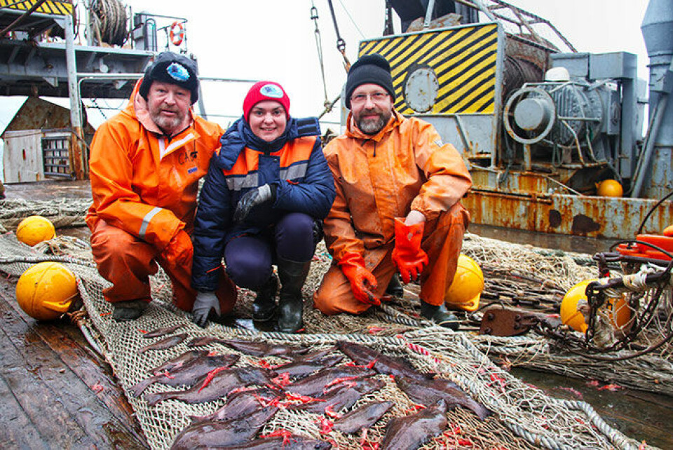 Marine researchers were surprised to find big volumes of halibut in Arctic waters. Photo: VNIRO