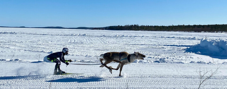 Photo: Saara-Maria Salonen