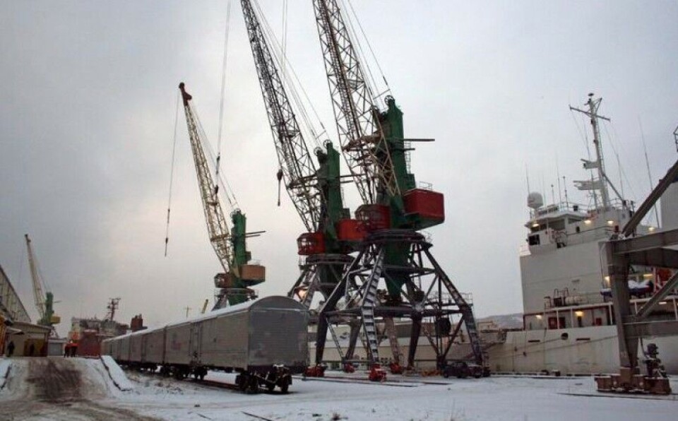 The Murmansk Fish Port. Photo: portofmurmansk.ru