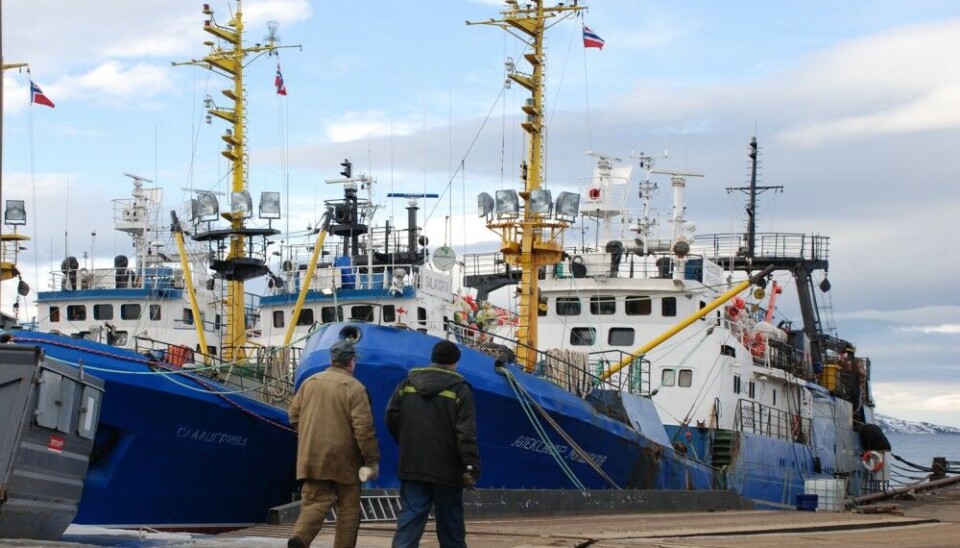 Russian trawlers in the port of Kirkenes.