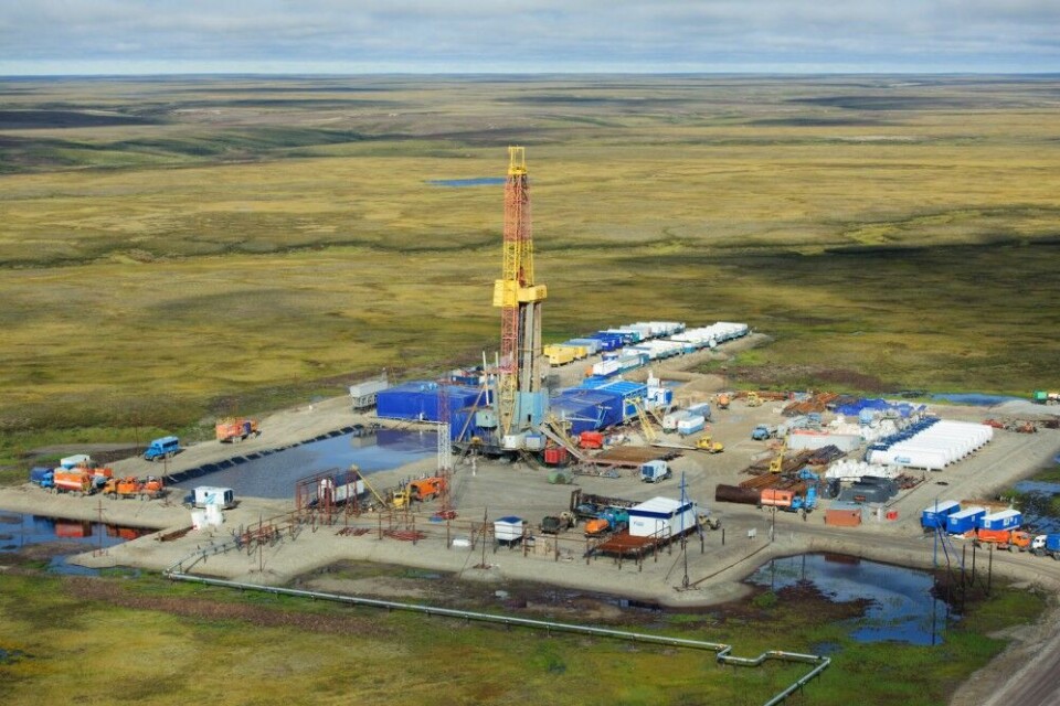 The Novy Port project in Yamal. Photo: Gazprom-Neft