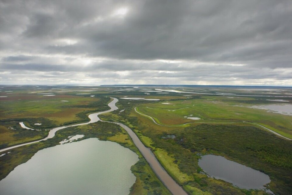 The tundra of the Yamal Peninsula. Photo: Gazprom Neft