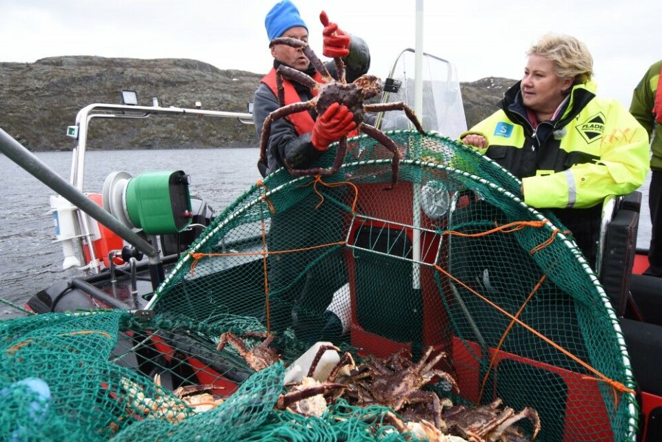 King Crab from Norwegian Arctic waters sees a sharp growth in export. Here, Norway's Prime Minister Erna Solberg on King Crab catch. Photo: Thomas Nilsen