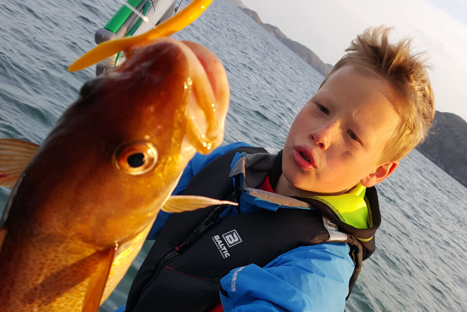 Cod catch. Photo: Thomas Nilsen