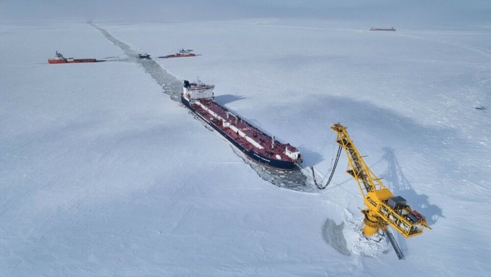 Oil from the Novy Port project is shipped out from a terminal installation in the Gulf of Ob. Photo: Gazprom Neft