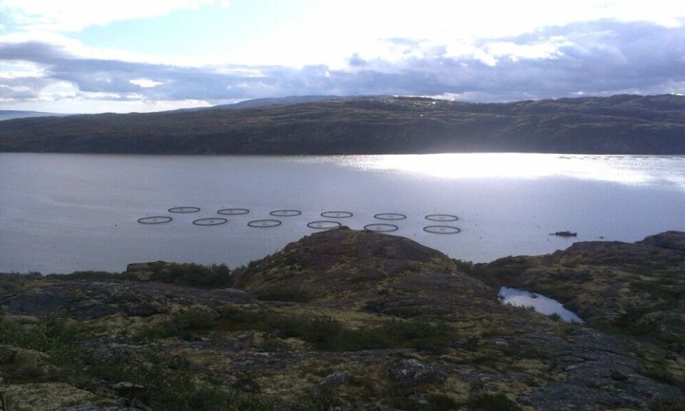 Fish farming in Ura Guba. Photo: Bloger51.ru