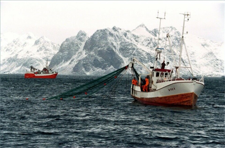 Cod fishing in the waters in Lofoten. Photo: Alf Børjesson / Norwegian Seafood Council