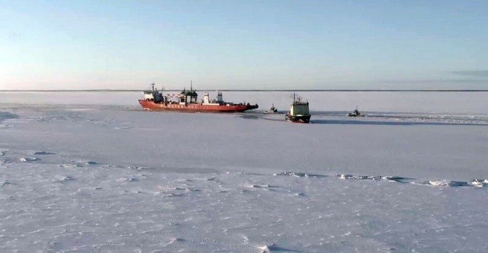 Container ship 'Sevmorput' in icy waters. Here from the Northern Dvina river. Photo: Rosatomflot