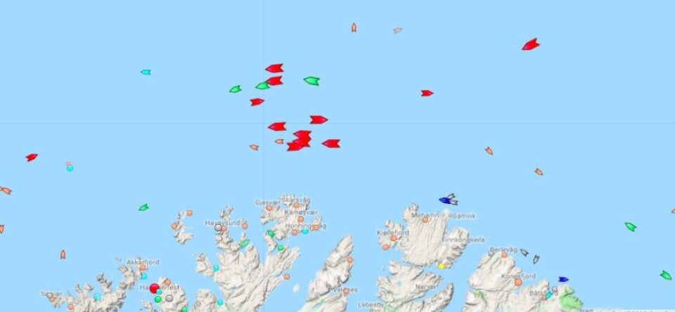 LNG carriers crowd outside Honningsvåg. Map by Marine Traffic