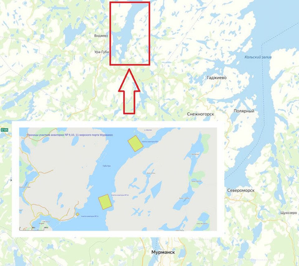 The projected transshipment facilities in Ura Guba near submarine base town Vidyaevo. Maps by Rosmorport