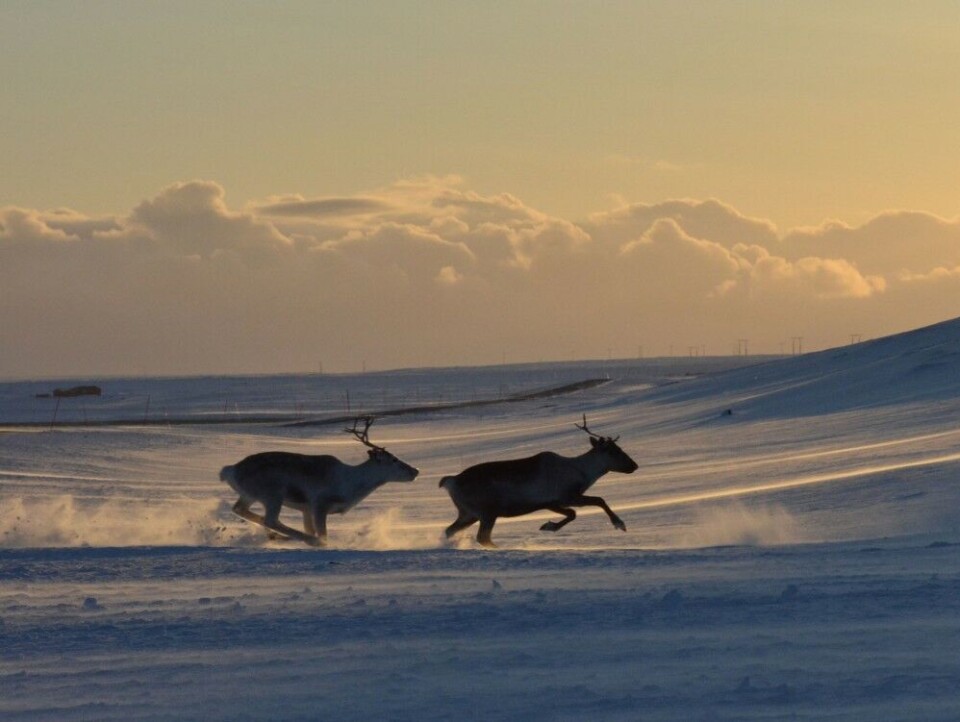 Photo: Atle Staalesen