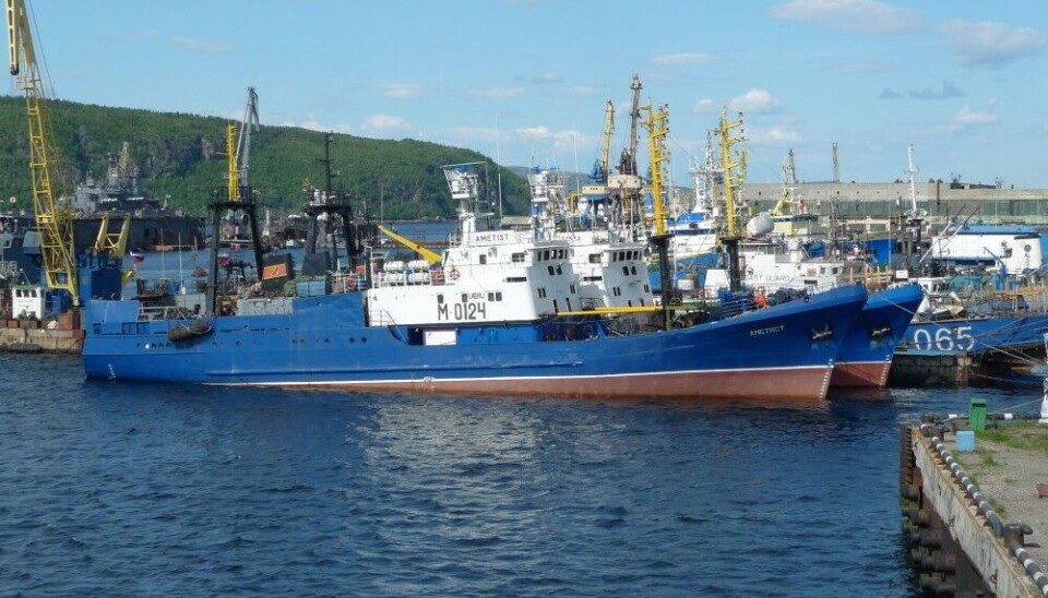 Russian trawlers at port in Murmansk. Photo: Thomas Nilsen