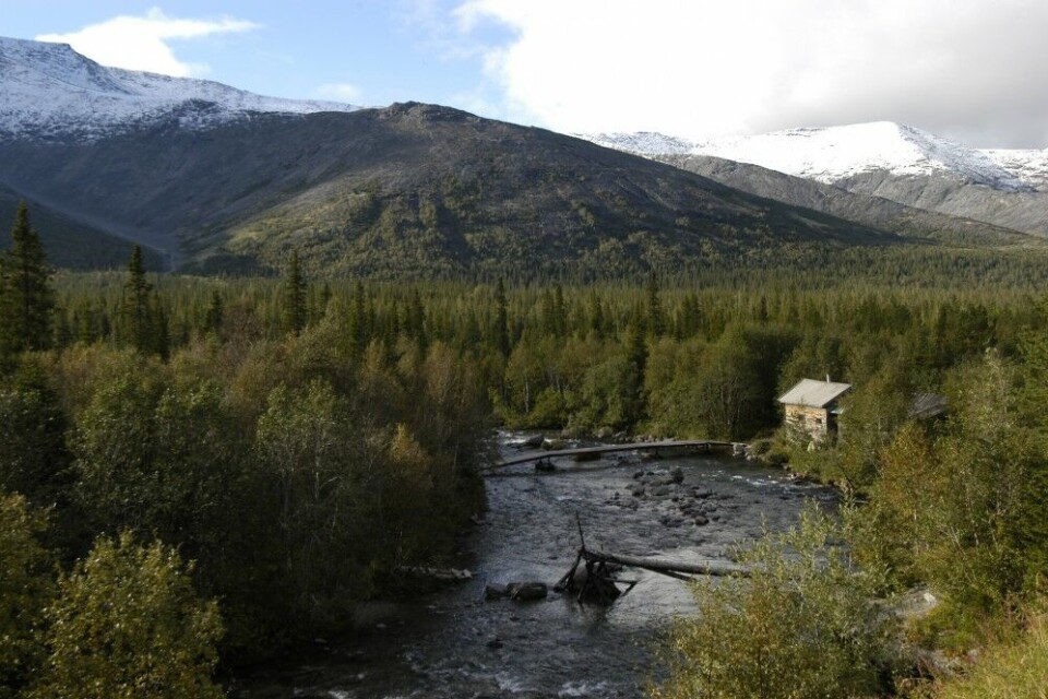 The largest known lithium spodumene deposits on the Kola Peninsula is east of Khibiny mountains, in the area around Lake Kolmozero. This is Europe's largest wilderness area. Photo: Thomas Nilsen