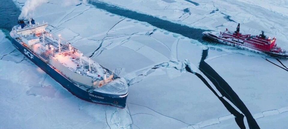 Забывчивость как путь к достижениям