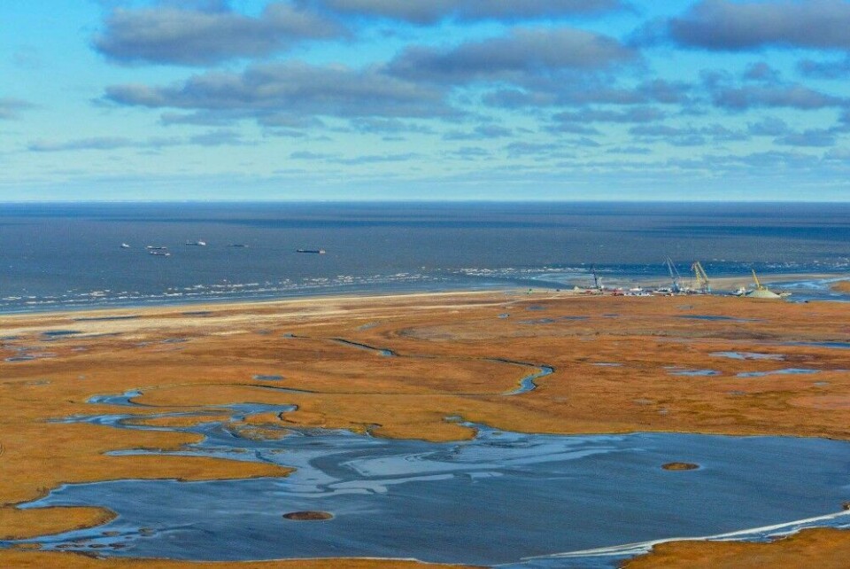 On the coast of the Ob Bay. Photo: Novatek