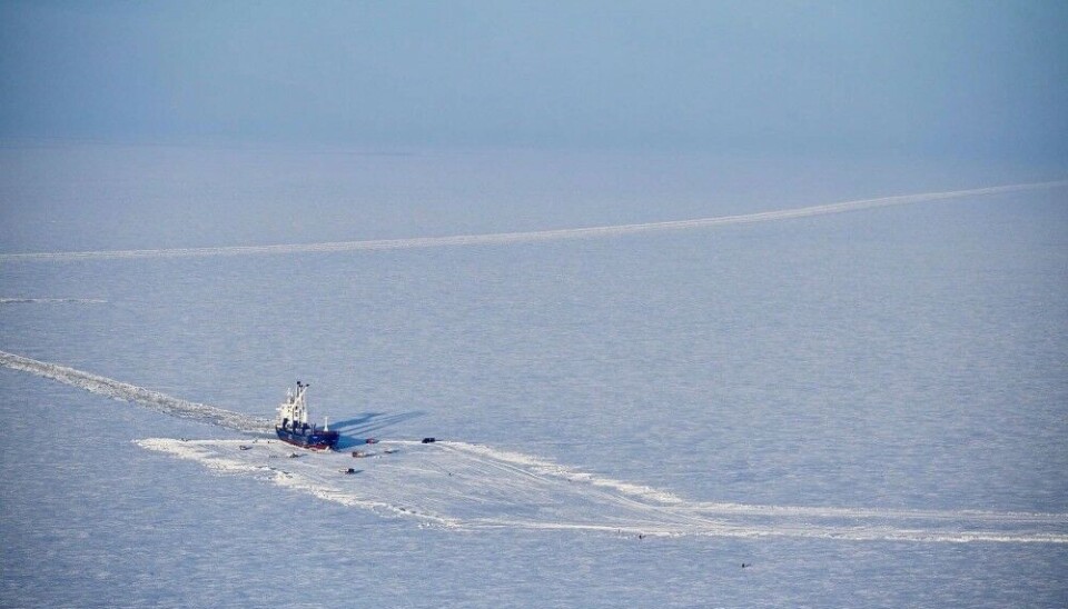 Ships in the beginning of March unloaded 4,600 tons of pipeline components on the ice of the Yenisey. Photo: Vankor Neft on VK
