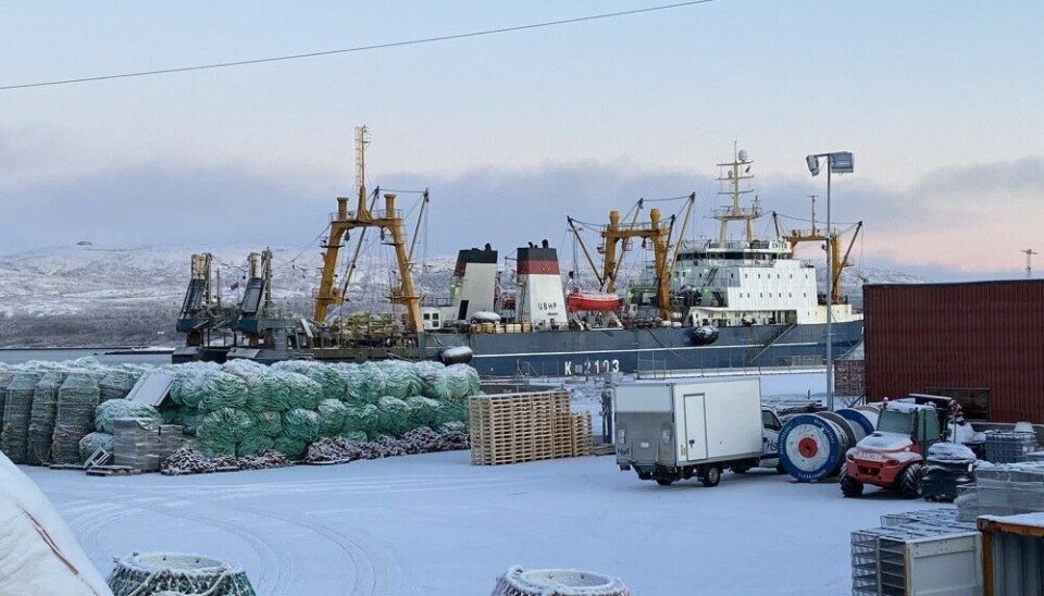 Russian fish-factory vessels, like Ester, is still allowed to make port calls in northern Norway. Photo: Thomas Nilsen