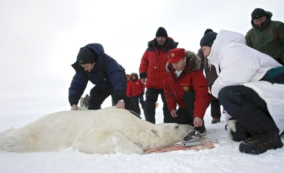 In 2010, President Vladimir Putin visited Franz Josef Land and overlooked polar bear researchers work. Photo: Polar Bear Programme / Kremlin